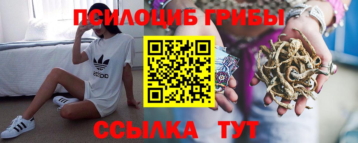 Псилоцибиновые грибы мухоморы  Галлюциногенные грибы GOLDEN TEACHER  Вход с VPN  Краснодар 